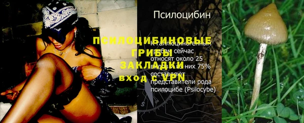 бутират Алексин